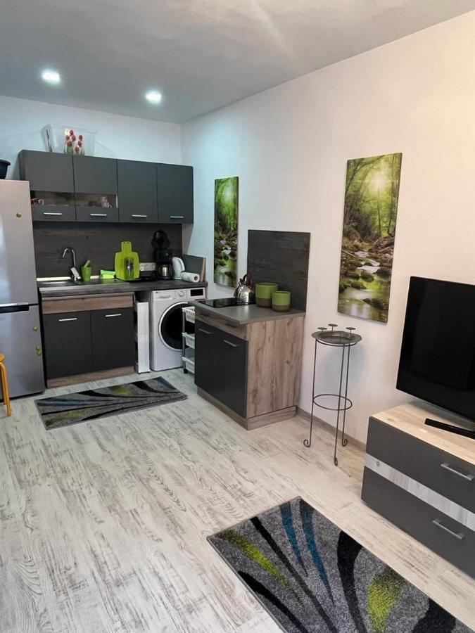 Apartament Acasa Sf.Gheorghe Sfantu Gheorghe  ภายนอก รูปภาพ