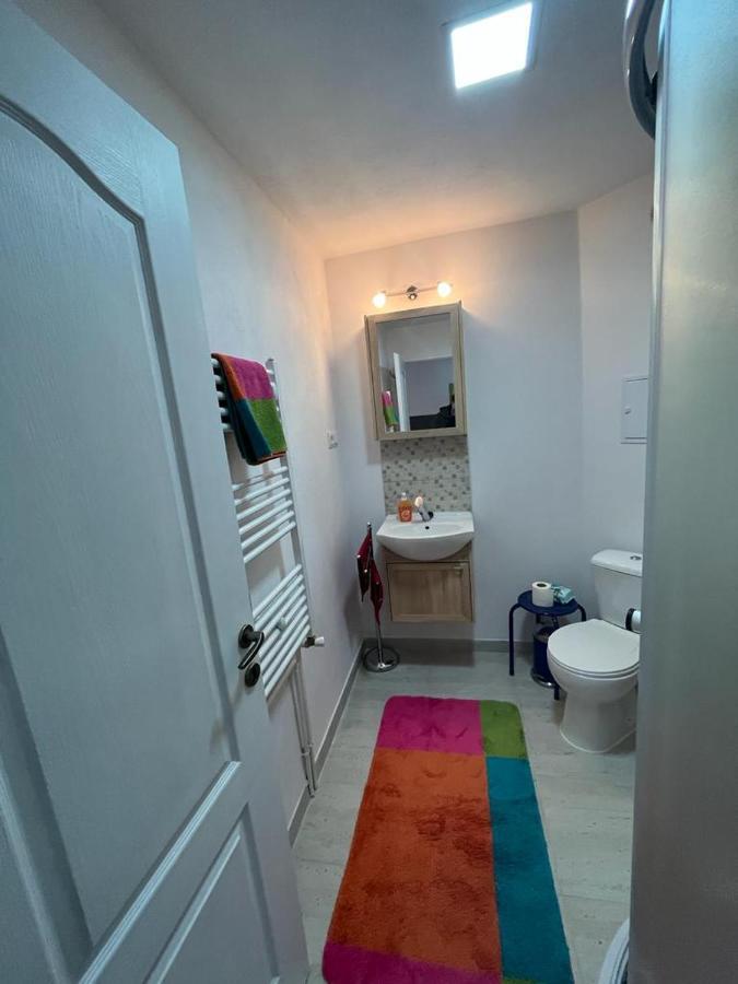 Apartament Acasa Sf.Gheorghe Sfantu Gheorghe  ภายนอก รูปภาพ