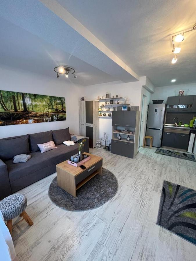 Apartament Acasa Sf.Gheorghe Sfantu Gheorghe  ภายนอก รูปภาพ
